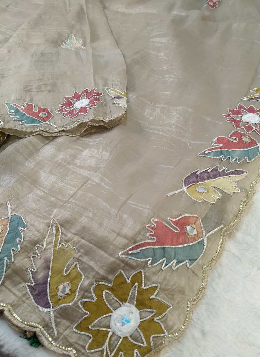 Organza Saree with Embroidery Work(Code OGZ-01)