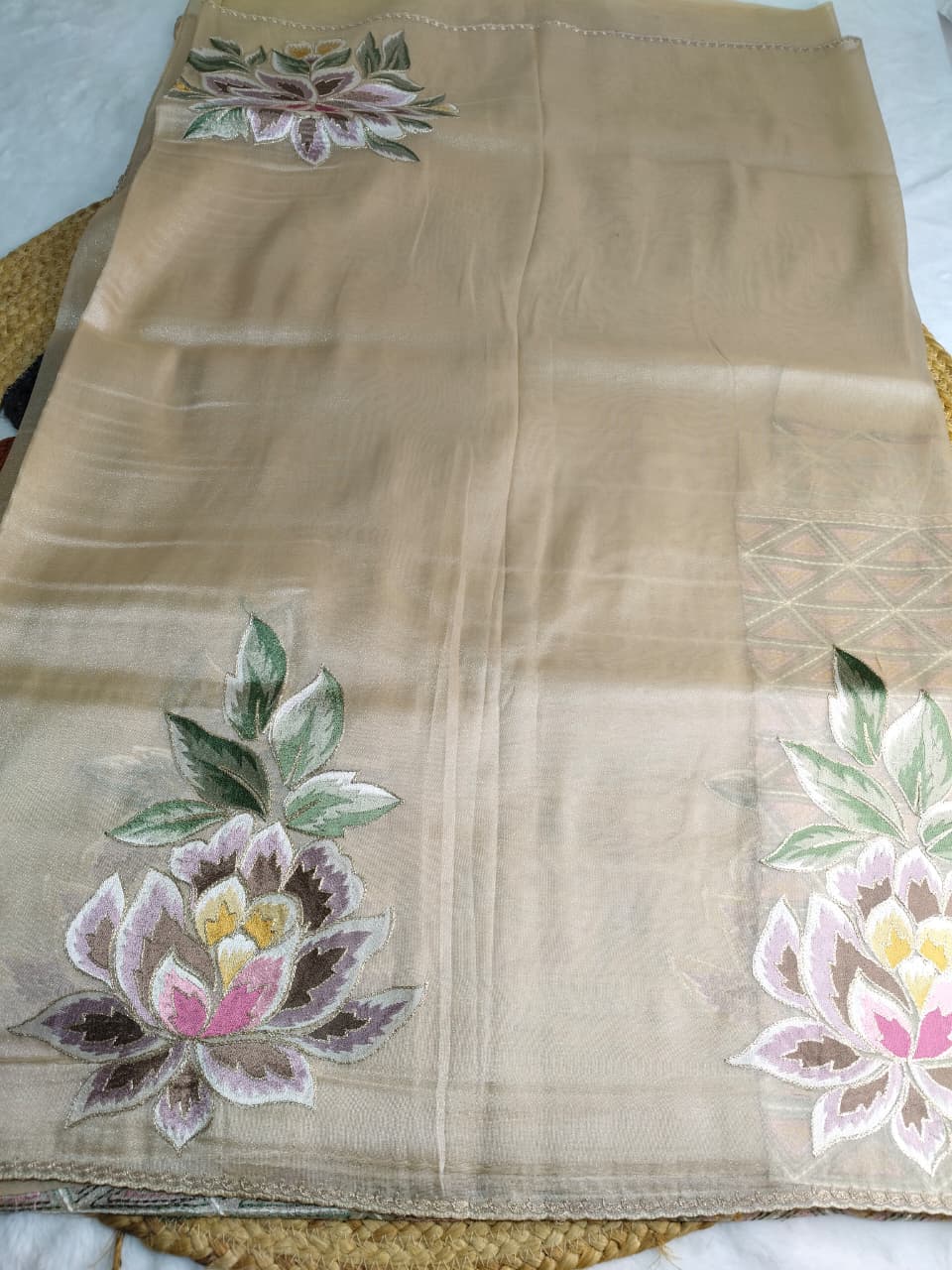 Pure Tissue Organza Saree With Meenakari Resham Floral Pallu Work & Peeta Border(Code FTS-02)