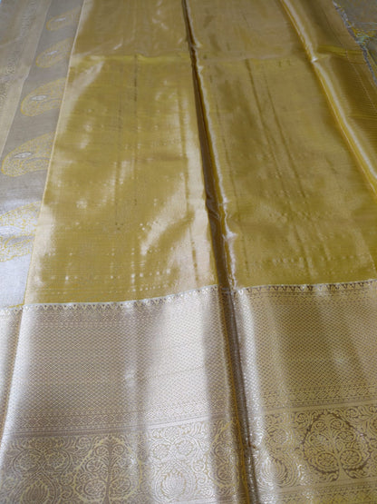 Elegant Bridal Tissue Saree with Rich Zari Weave-BT-02